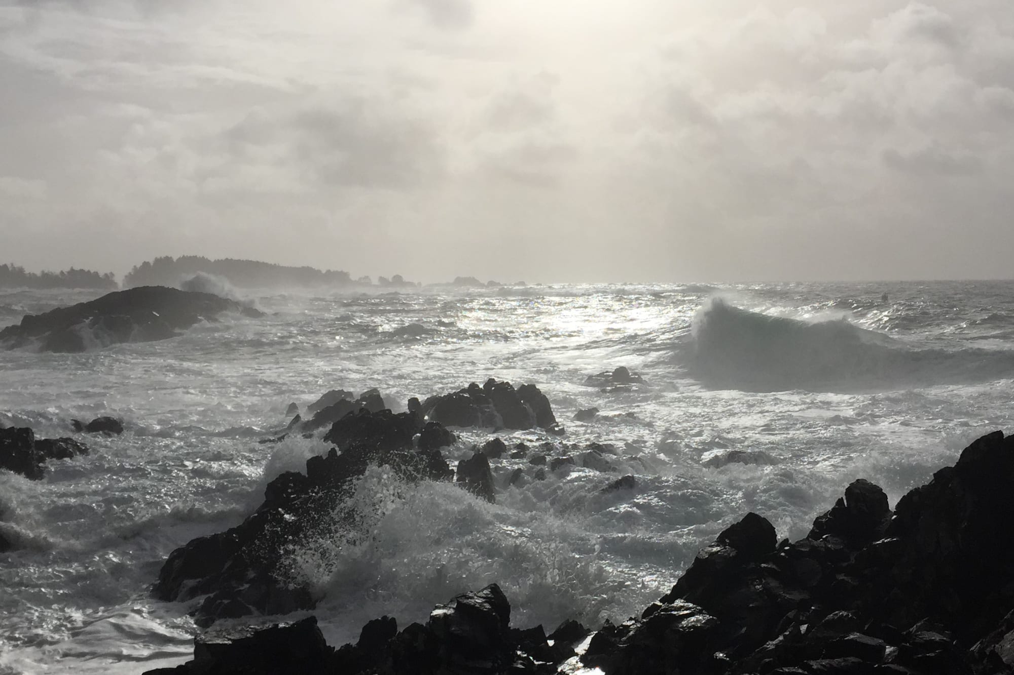 Ucluelet Hotel Stormwatching