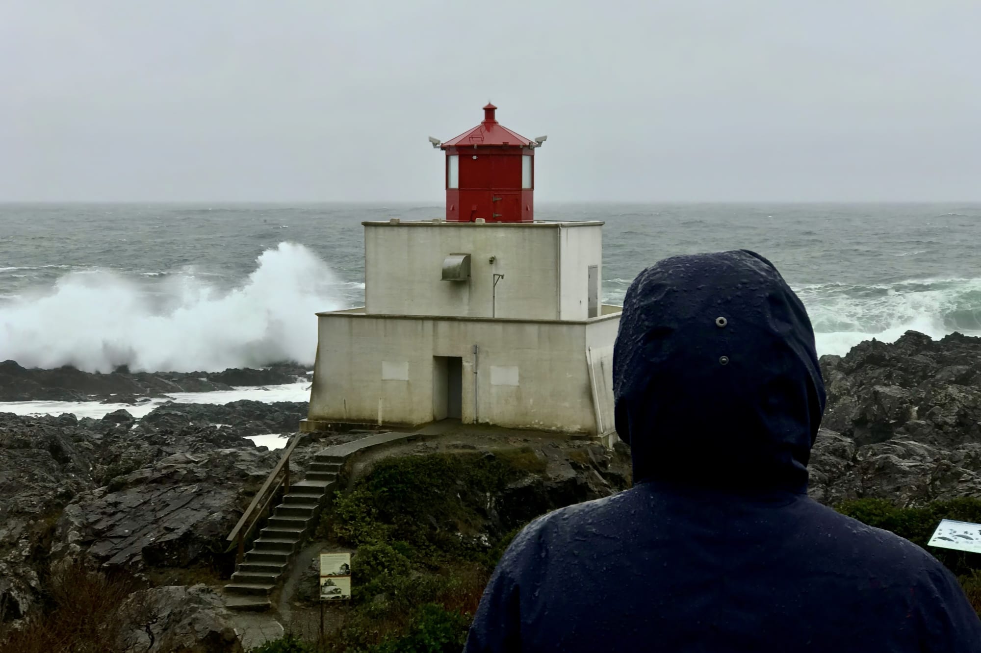 Ucluelet Hotel - Stormwatching