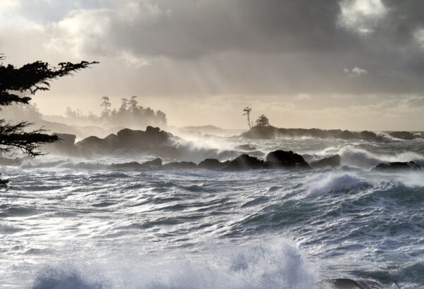 Storm Watching in Ucluelet