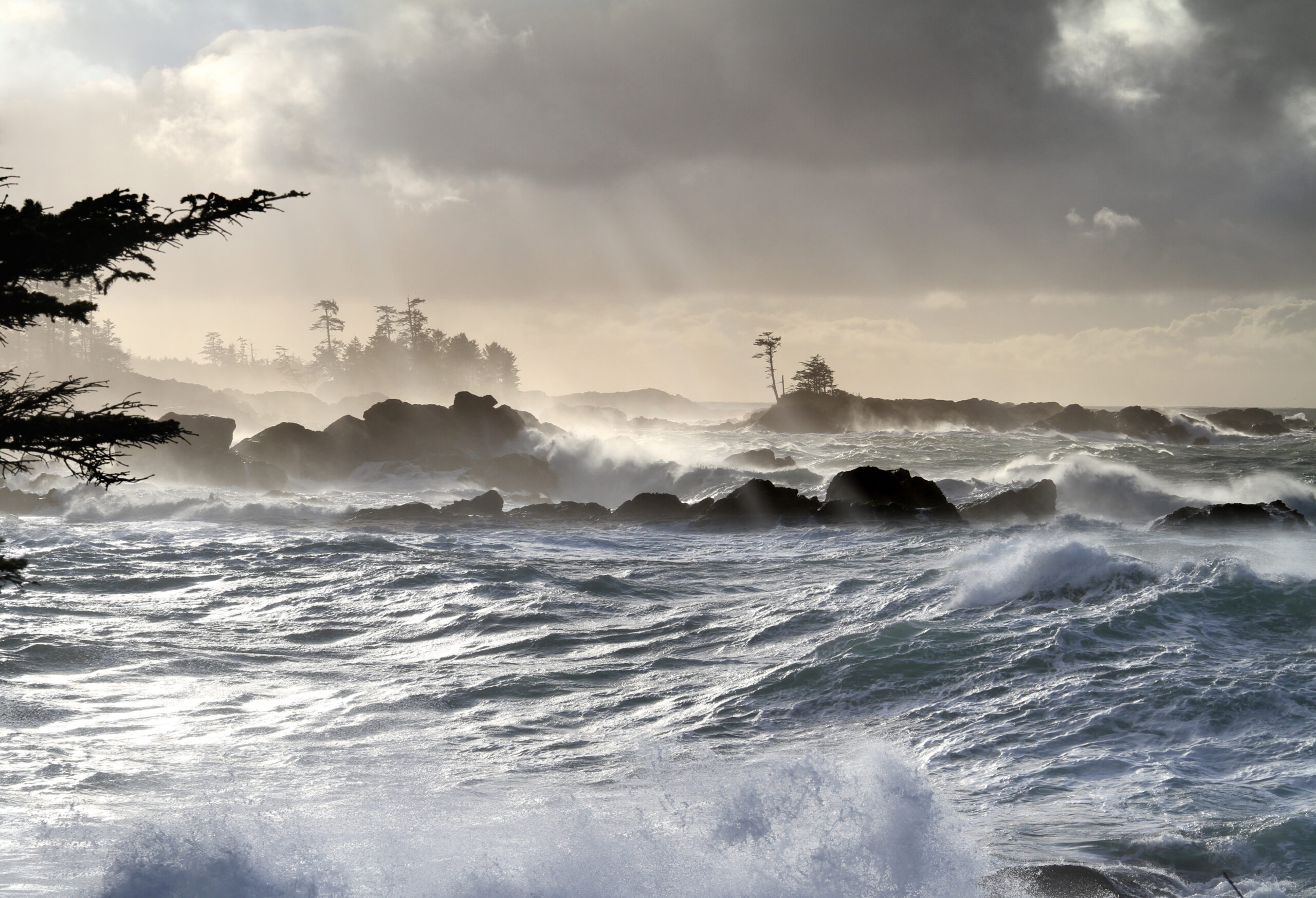 Storm Watching in Ucluelet